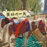 去萌宠农场，和不一样的朋友过六一呀~