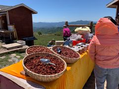 -阳台山自然风景区