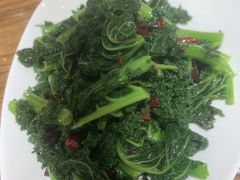 -美华大炒鸽子店