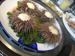 海胆-日进一片海.生腌海鲜火锅.宵夜烧烤(三里屯总店)