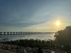 -宝安西湾红树林湿地公园