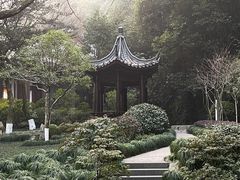 -十八棵（老龙井）御茶园(老龙井店)