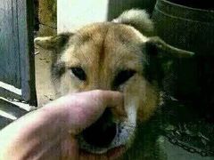 -新石器烤肉(张家港购物公园店)