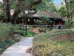 -九龙公园