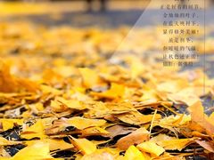 -徐家汇公园