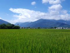 -瑞穗牧场