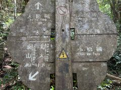 -梧桐山风景名胜区