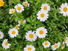 -上海滨江森林公园