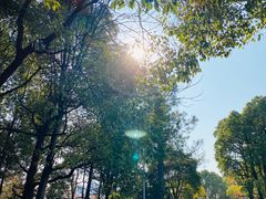 -白塘生态植物园