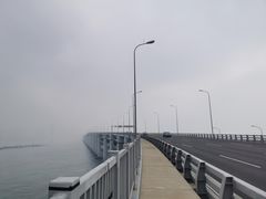-星海湾跨海大桥