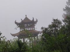 -铁山坪森林公园