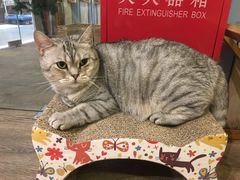 -小时光咖啡馆(开森度假森林店)