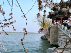 -颐和园