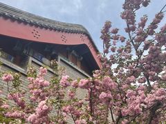-北京颐和宾馆