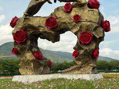 -亚龙湾国际玫瑰谷