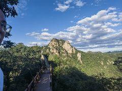 -大岭沟猕猴桃谷风景区