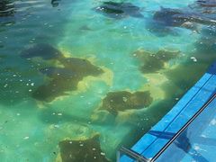 -北戴河圣蓝海洋公园