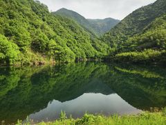 -东天目山风景区