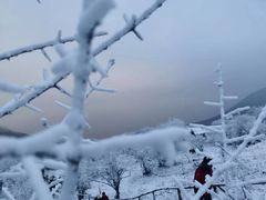 -太子岭滑雪场