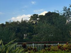 -人民公园(罗湖区)