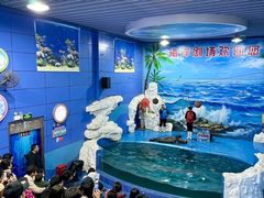 -左海海底世界