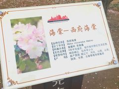 游乐设施-元大都城垣遗址公园