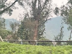 -渔寮风景区
