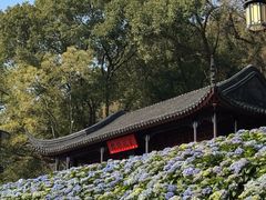 -苏州上方山国家森林公园