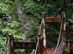-牛背梁国家森林公园