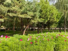 -长春公园(普阳街道)