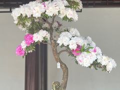 -豫园