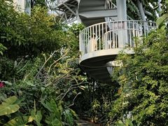 -郑州植物园
