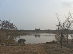 -上海海湾国家森林公园