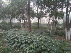 -唐城墙遗址公园