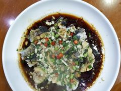 -全乐鱼馆·淳牌有机鱼直营店