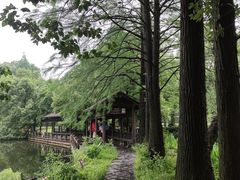 -东湖落雁景区