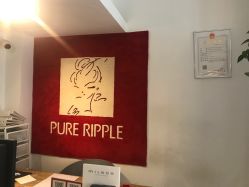 -净漪造型 PURE RIPPLE