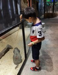 -酷嗒动物文化乐园(cutezoo西溪乐天城店)