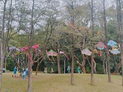 -人民公园(罗湖区)