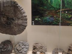 -广东中医药博物馆