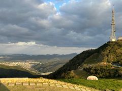 -赵璐海鲜面馆(德行路店)