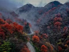 -秦岭风景区