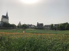 -花博汇(知音花月夜)