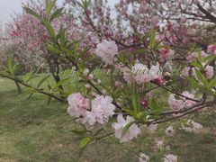 -蜀冈西峰生态公园