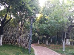 -洛龙公园