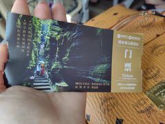 -梭布垭石林景区