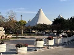 -石家庄市植物园