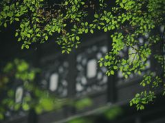 -惠山古镇·寄畅园