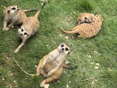 -泉州海丝野生动物世界