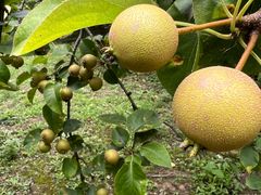 -梁鸿国家湿地公园